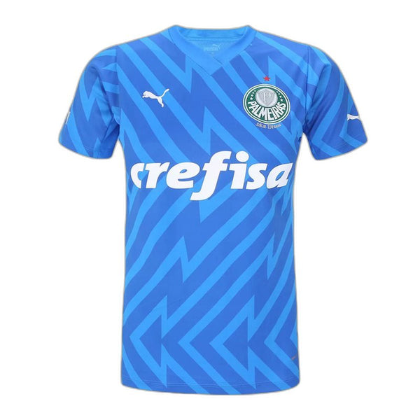 Camisa Palmeiras 24/25 Goleiro - Feminina